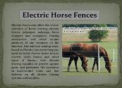Electric Horse Fences Powerpoint Presentation