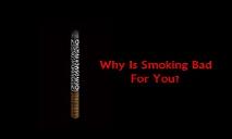 Why Is Smoking Bad For You PowerPoint Presentation