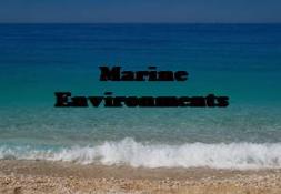 The Beach-I Love Science PowerPoint Presentation