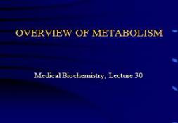 AN ENZYME CASCADES BLOOD CLOTTING PowerPoint Presentation