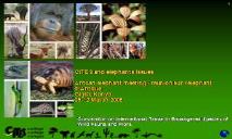 African elephant meeting Mombasa PowerPoint Presentation