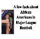 A Negro League Baseball Powerpoint Presentation