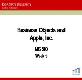 Business Objects and Apple Inc Powerpoint Presentation