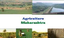 Agriculture Profile Maharashtra PowerPoint Presentation
