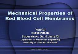 Mechanical Properties of Red Blood Cell Membranes PowerPoint Presentation