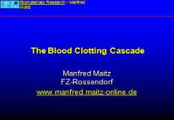 Diagram of the Blood Clotting Cascade PowerPoint Presentation