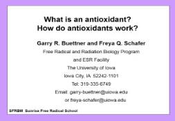 Antioxidants Small Molecule Antioxidants the Basics PowerPoint Presentation