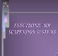 ELECTRONIC AIR SUSPENSION SYSTEM Powerpoint Presentation
