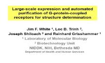 Acknowledgement Structural Bioinformatics Laboratory PowerPoint Presentation