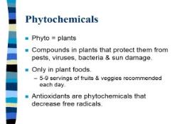 Antioxidants and Health - Whats the Story PowerPoint Presentation
