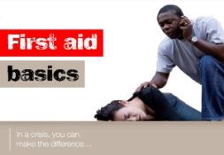 Bleeding and Shock British Red Cross PowerPoint Presentation