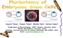 Pluripotency of Embryonic Stem Cells PowerPoint Presentation