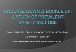 Knuckle Down Buckle Up A Study Of Prevalent Safety Belt Use PowerPoint Presentation