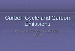 Carbon Cycle and Carbon Emissions PowerPoint Presentation