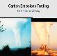 Carbon Emissions Trading Economics Business Powerpoint Presentation