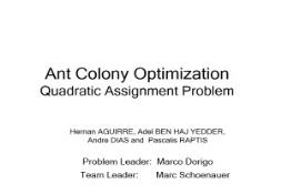 Ant Colony Optimization Information PowerPoint Presentation