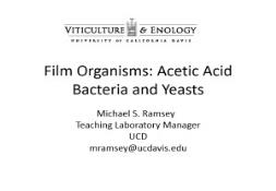 Film Organisms Acetic Acid Bacteria and Yeasts PowerPoint Presentation