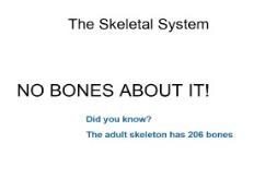 Bone Graffiti PowerPoint Presentation