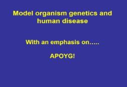 Why yeast AMBL The Educational Facilities of the PowerPoint Presentation