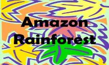 Study Amazon Rainforest PowerPoint Presentation