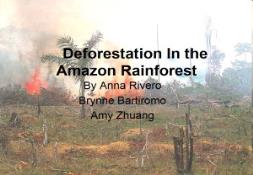 About Deforestation In the Amazon Rainforest PowerPoint Presentation