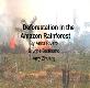 About Deforestation In the Amazon Rainforest Powerpoint Presentation