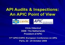 Audits Inspections APIC Point of View PowerPoint Presentation
