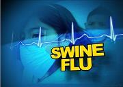 Influenza H1N1 (Swine Flu ) Powerpoint Presentation