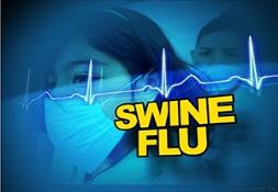 Influenza H1N1 (Swine Flu ) PowerPoint Presentation