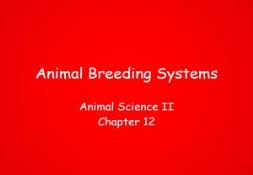 Animal Breeding Systems PowerPoint Presentation