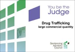 You be the Judge Drug trafficking case study PowerPoint Presentation