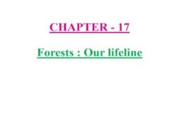 Forests Our lifeline PowerPoint Presentation