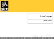 Zebra Designer Powerpoint Presentation