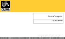 Zebra Designer PowerPoint Presentation