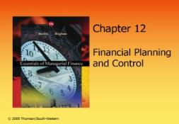 Financial Planning and Controls PowerPoint Presentation