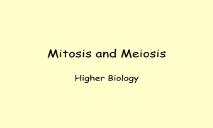 Mitosis and Meiosis PowerPoint Presentation