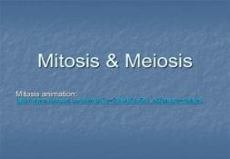 Meiosis and Mitosis PowerPoint Presentation