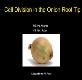 The Cell Cycle and Mitosis Powerpoint Presentation