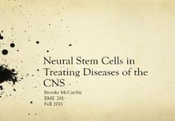 The Link Between Stem Cells and Brain Tumors PowerPoint Presentation