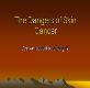 The Dangers of Skin Cancer Powerpoint Presentation