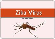 Zika Virus Disease Powerpoint Presentation