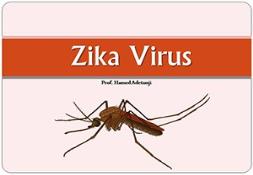 Zika Virus Disease PowerPoint Presentation