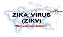 Zika Virus Zikv PowerPoint Presentation