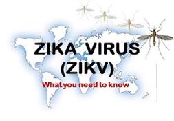 Zika Virus Zikv PowerPoint Presentation