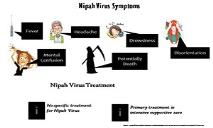 Nipah Virus Symptoms and  Treatment PowerPoint Presentation