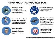 Nipah Virus Cure Tips Powerpoint Presentation