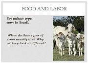 Food And Labor Powerpoint Presentation