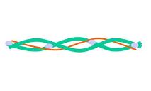 Actin And Myosin PowerPoint Presentation