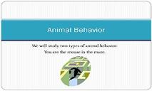 Animal Behaviour PowerPoint Presentation