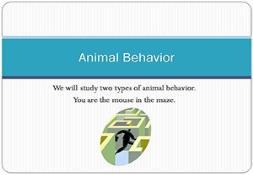 Animal Behaviour PowerPoint Presentation